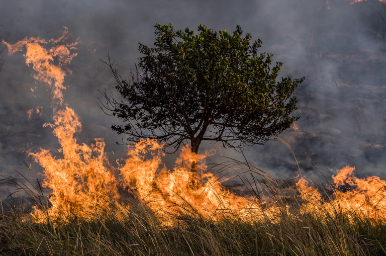 incendios